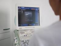 Ultraschalluntersuchungen in der Tierarztpraxis R&uuml;sselsheim